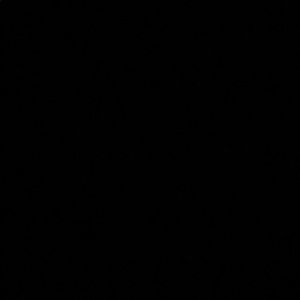 Meet your Posher, Faviola